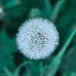 酷游ku:带你体验虚拟世界中的极致冒险与乐趣 jp79ax998b