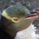 通过大嬴家平台,开启你的财富自由之路 qa15908