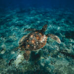 《直播港澳台》深度解析两岸时事热点 d7ei66kz