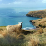 《王者荣耀》官方赛事金牌主持人全程解说 fekdk